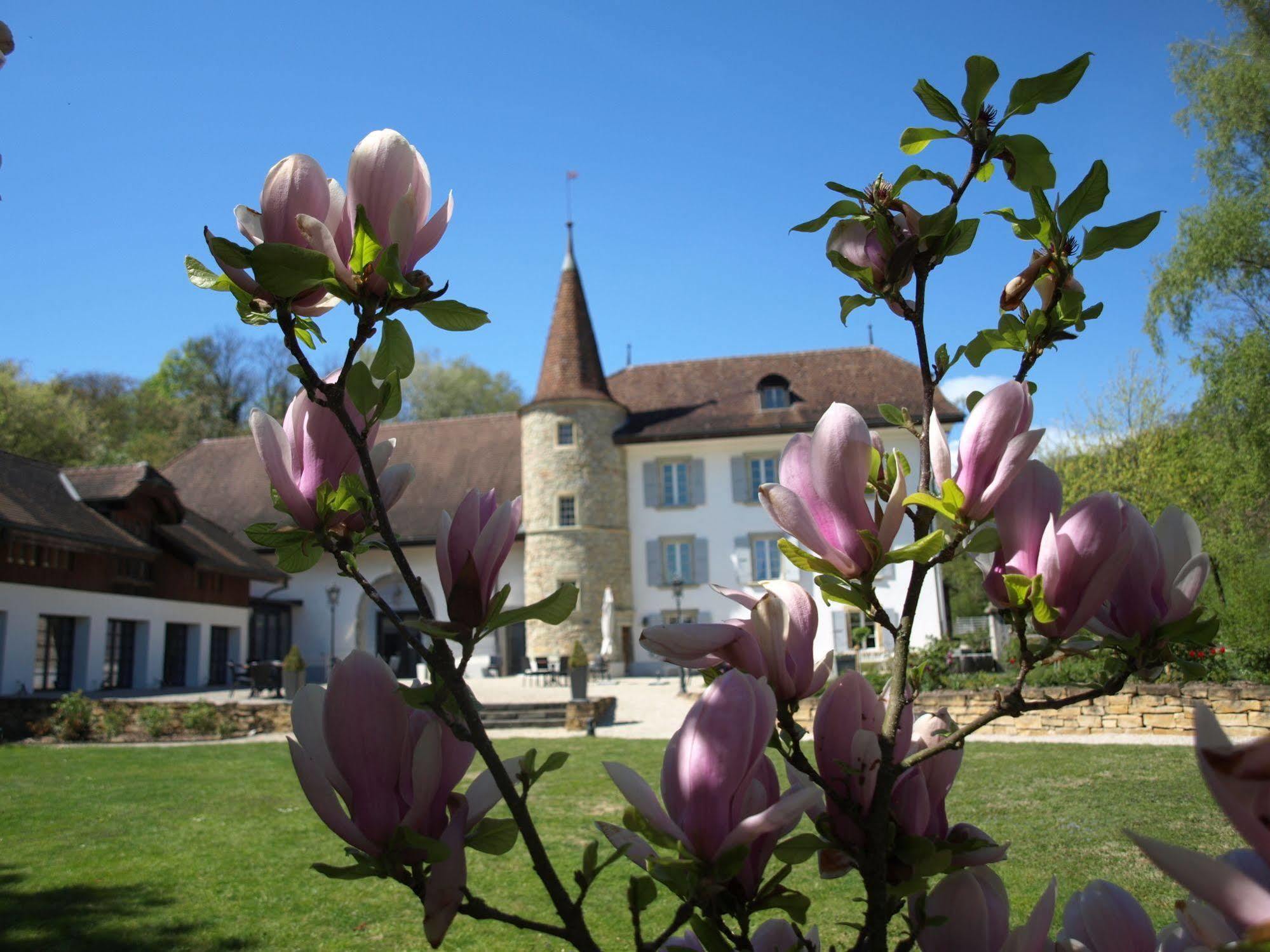 Chateau Salavaux Vully-les-Lacs Exterior foto