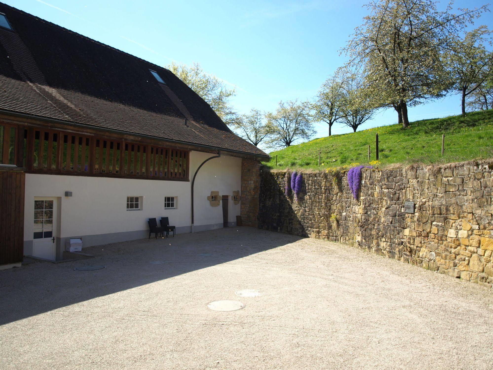 Chateau Salavaux Vully-les-Lacs Exterior foto